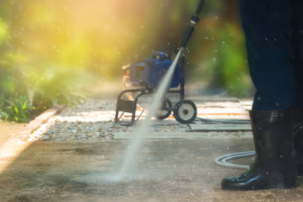 Best Soft Washing for Delicate Surfaces in Terra Bella, CA